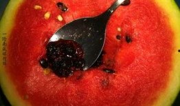 医院奇葩吃瓜,一场奇葩吃瓜大揭秘