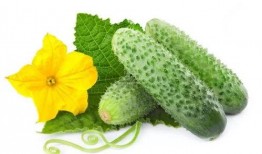 出生自带吃瓜系统结局,揭秘人生百态！